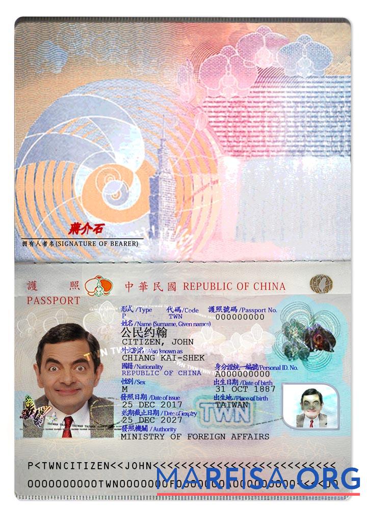 Realistic Taiwan Pass 2021 present sample